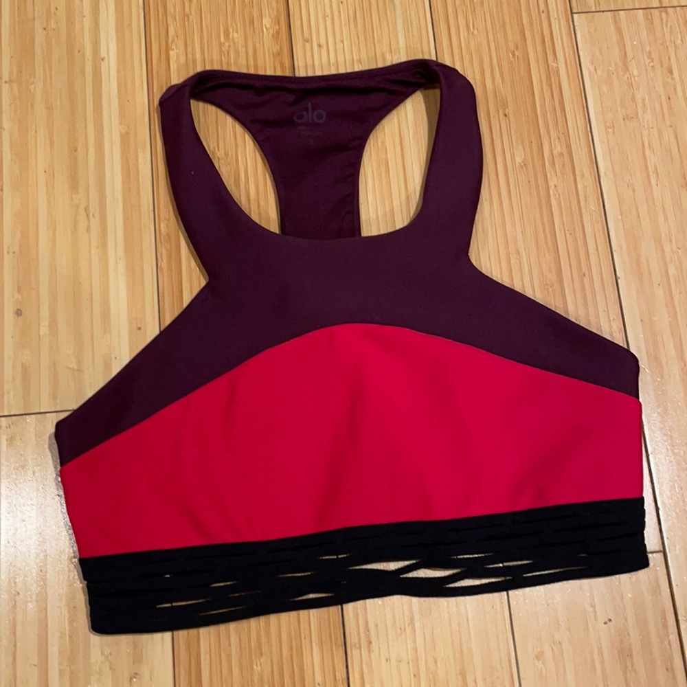Alo colorblock sports bra